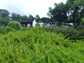 Chinese Antique architecture Surrounded by Green Trees in singapore